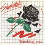 Shakatak - Watching you