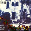 Tribe - Outside
